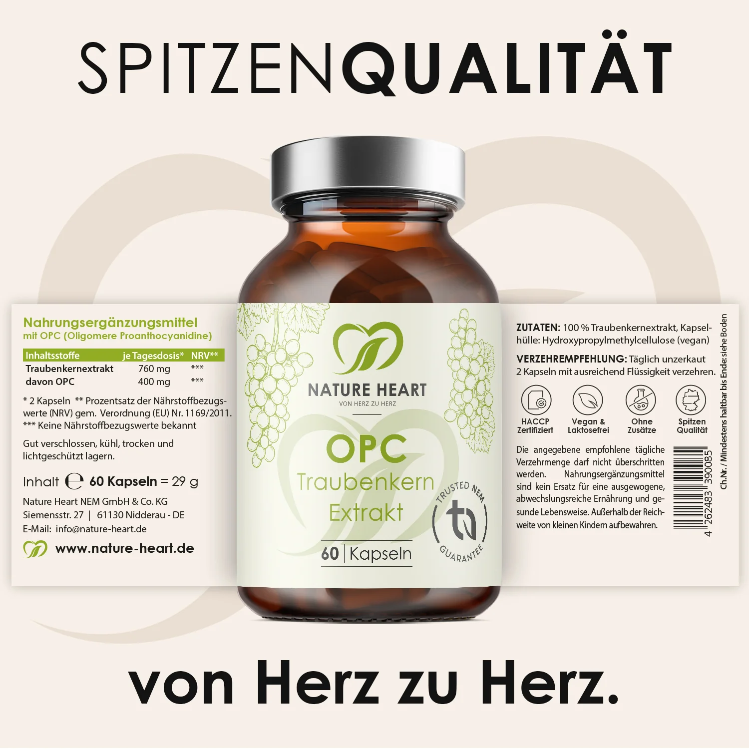Vorschaubild 11