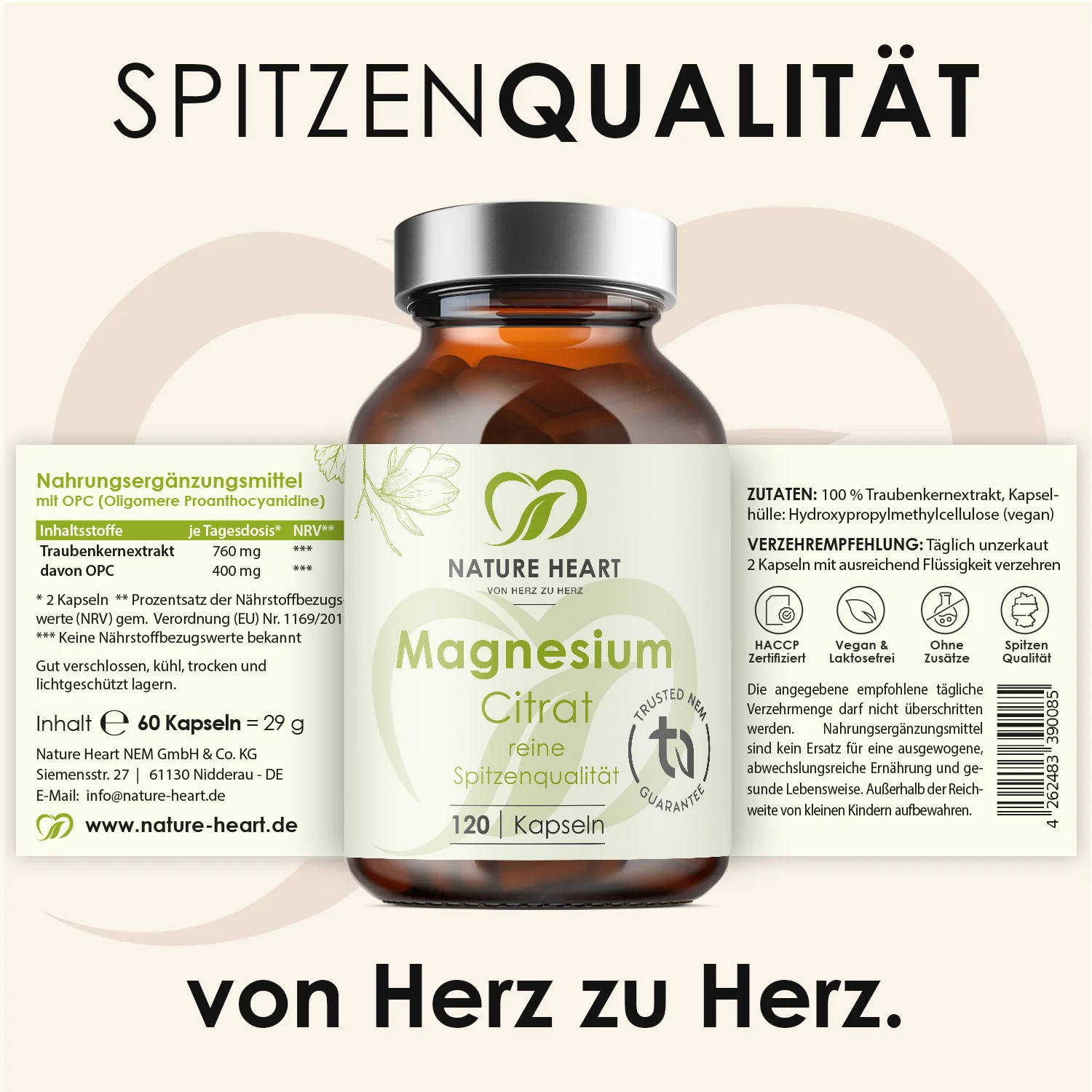 Vorschaubild 7