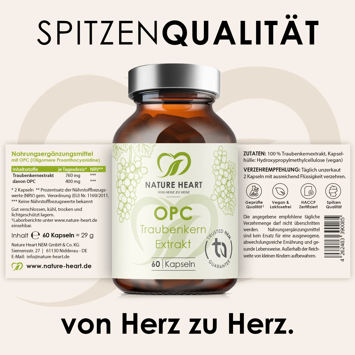Vorschaubild 6