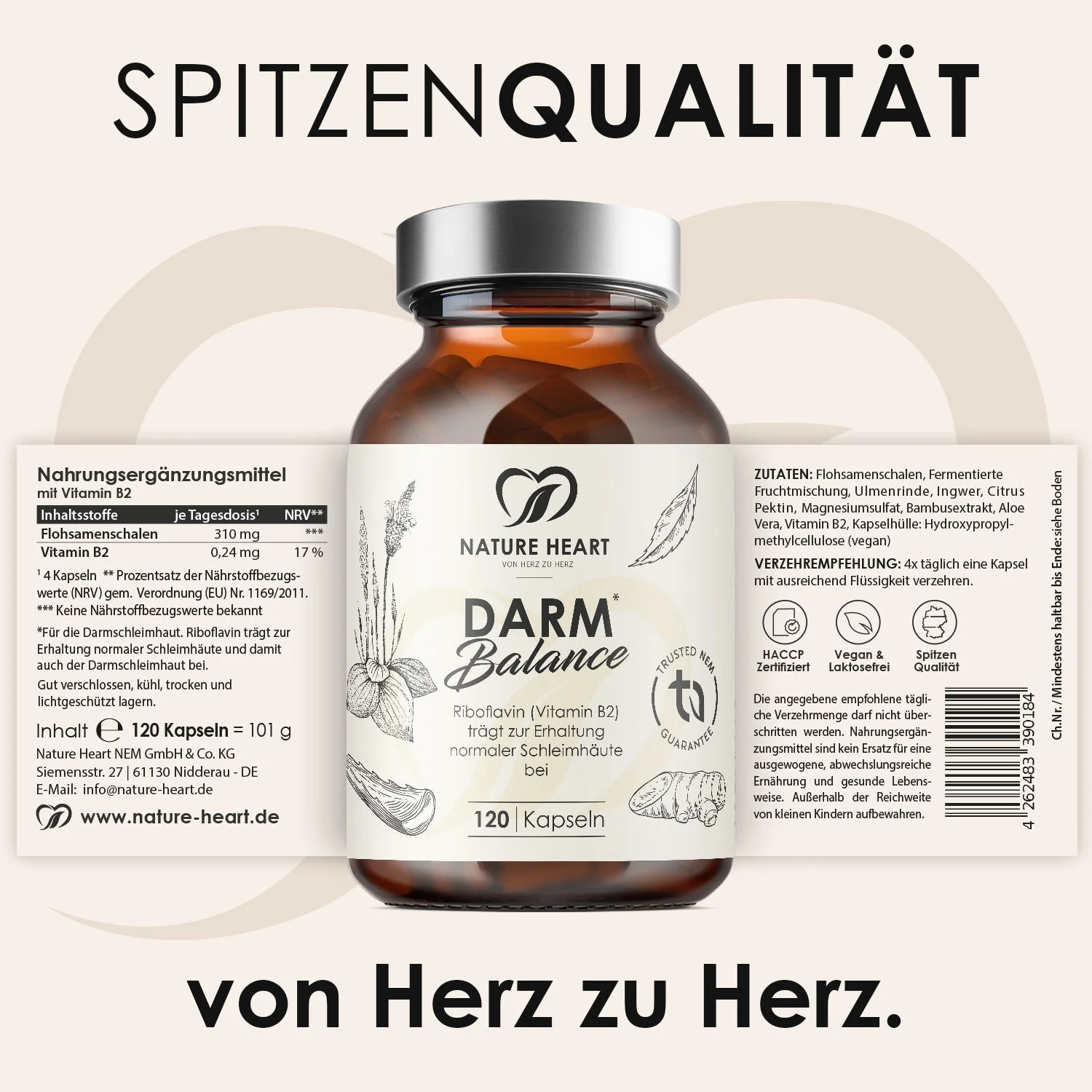 Vorschaubild 6