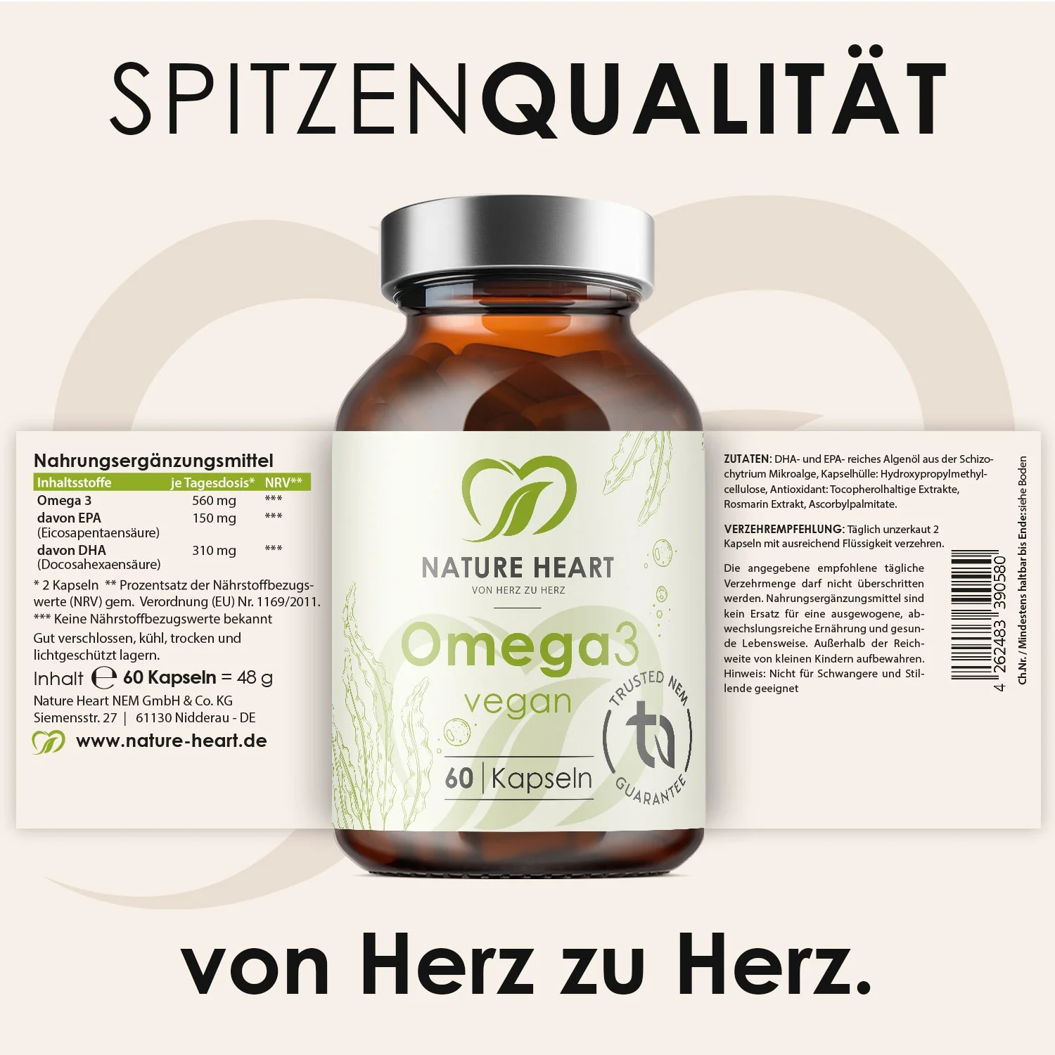 Vorschaubild 5