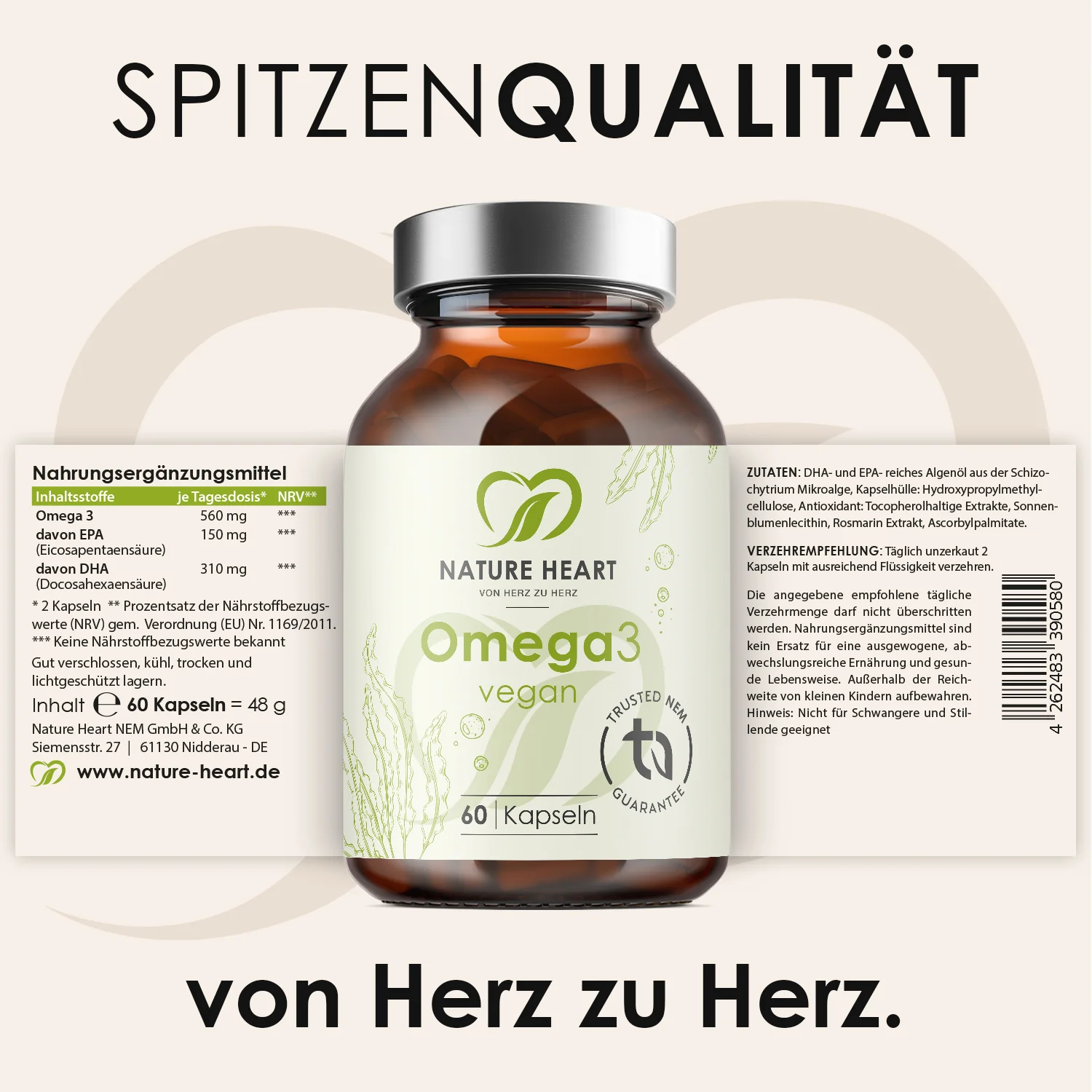 Vorschaubild 8