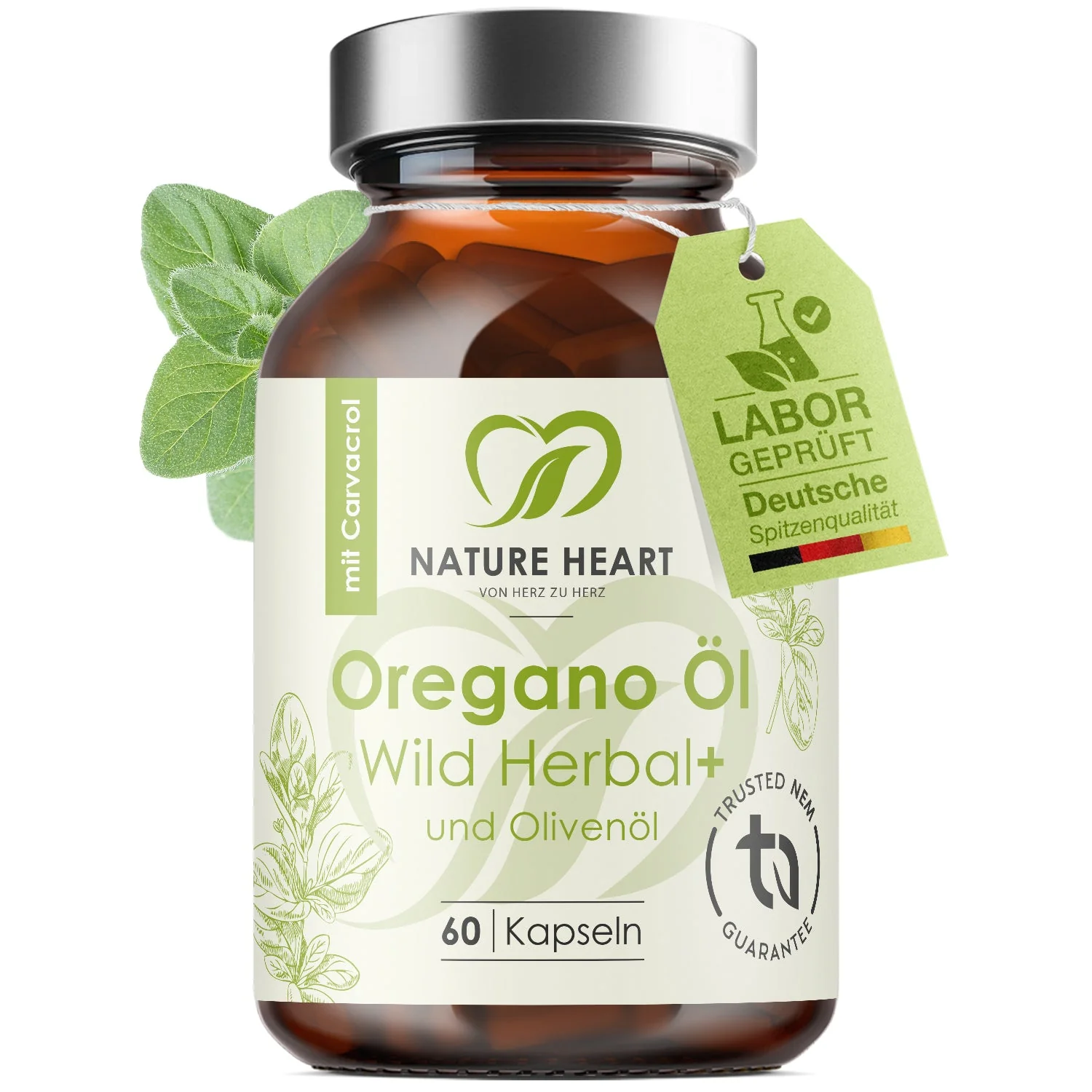 Leber und Cleanse