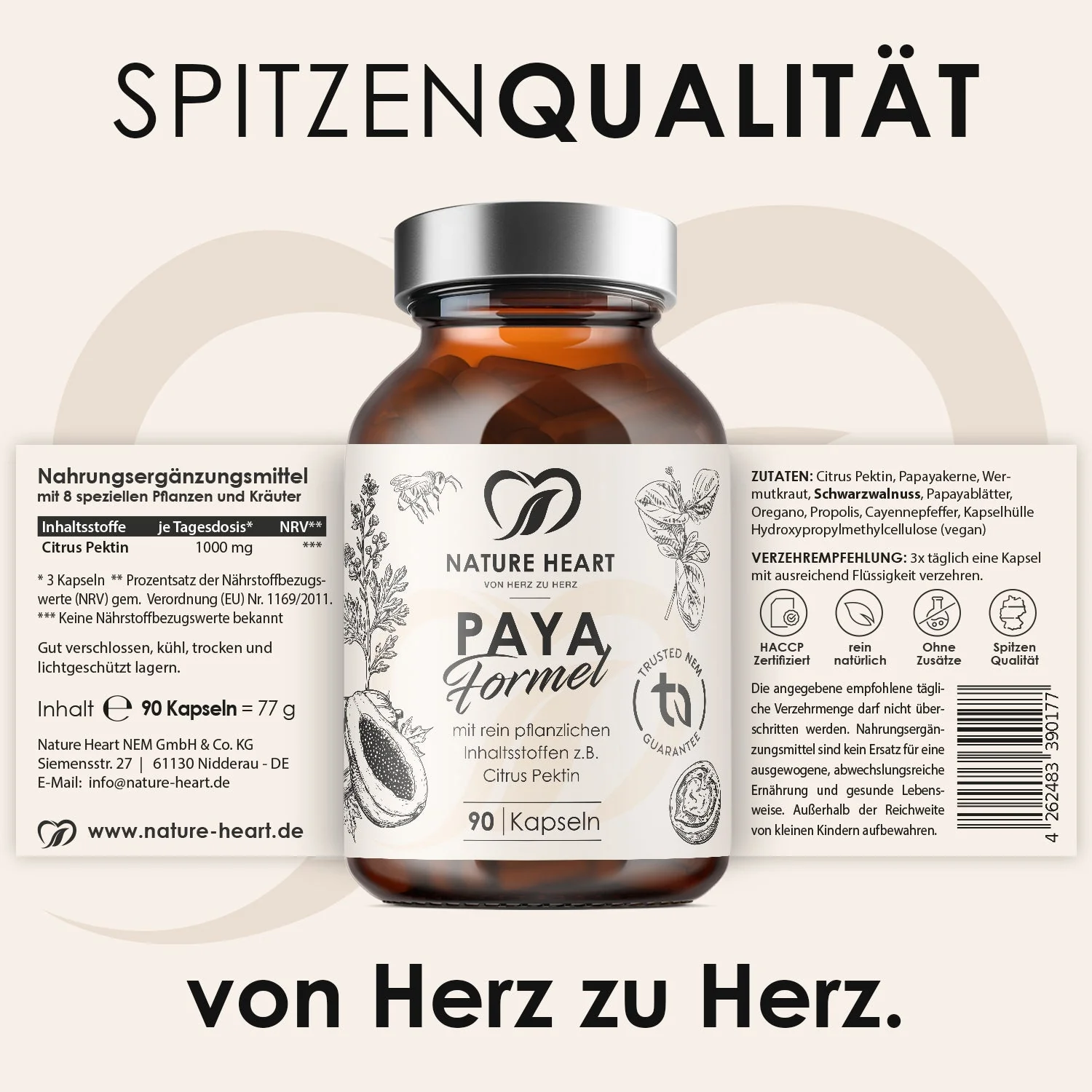 Vorschaubild 5