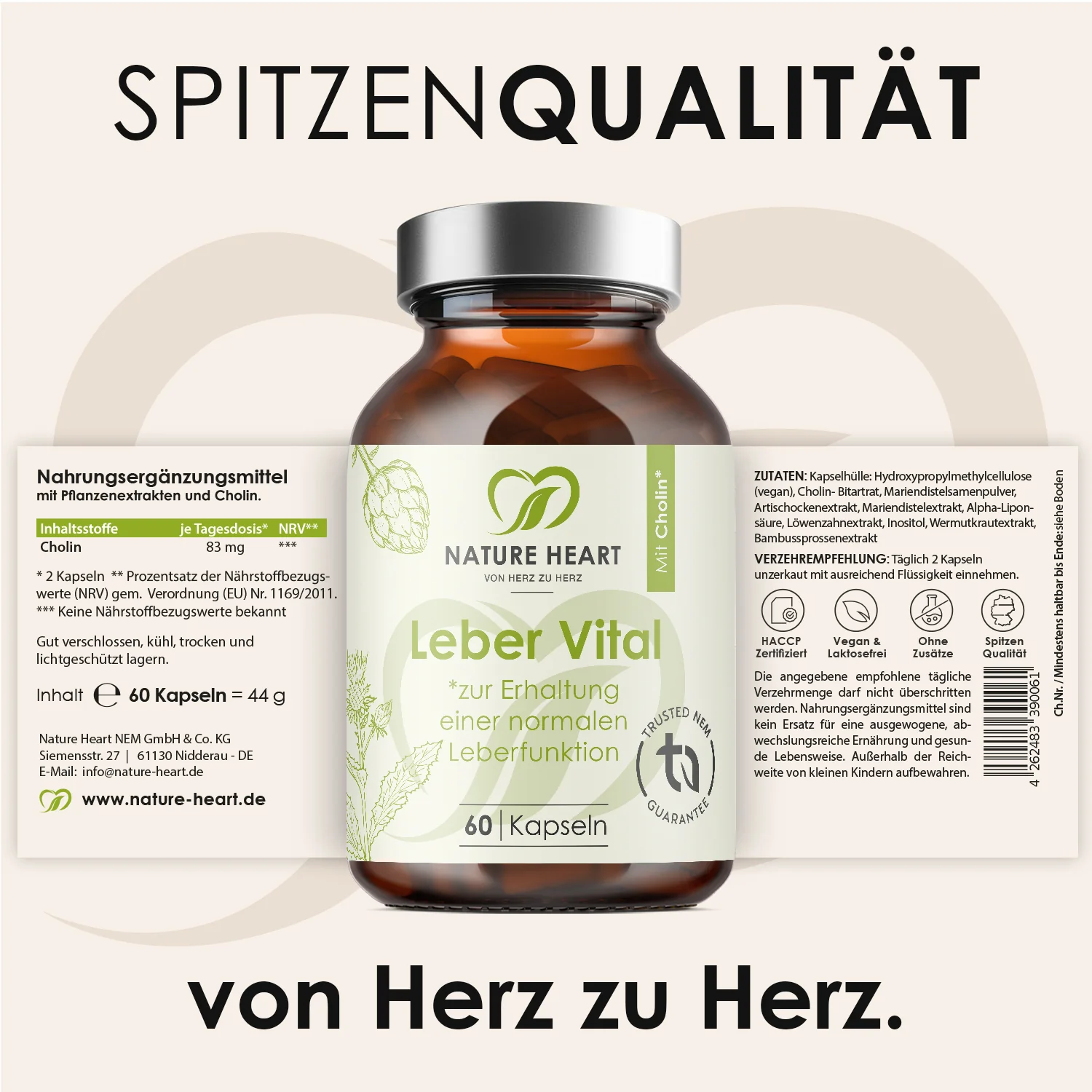 Vorschaubild 6