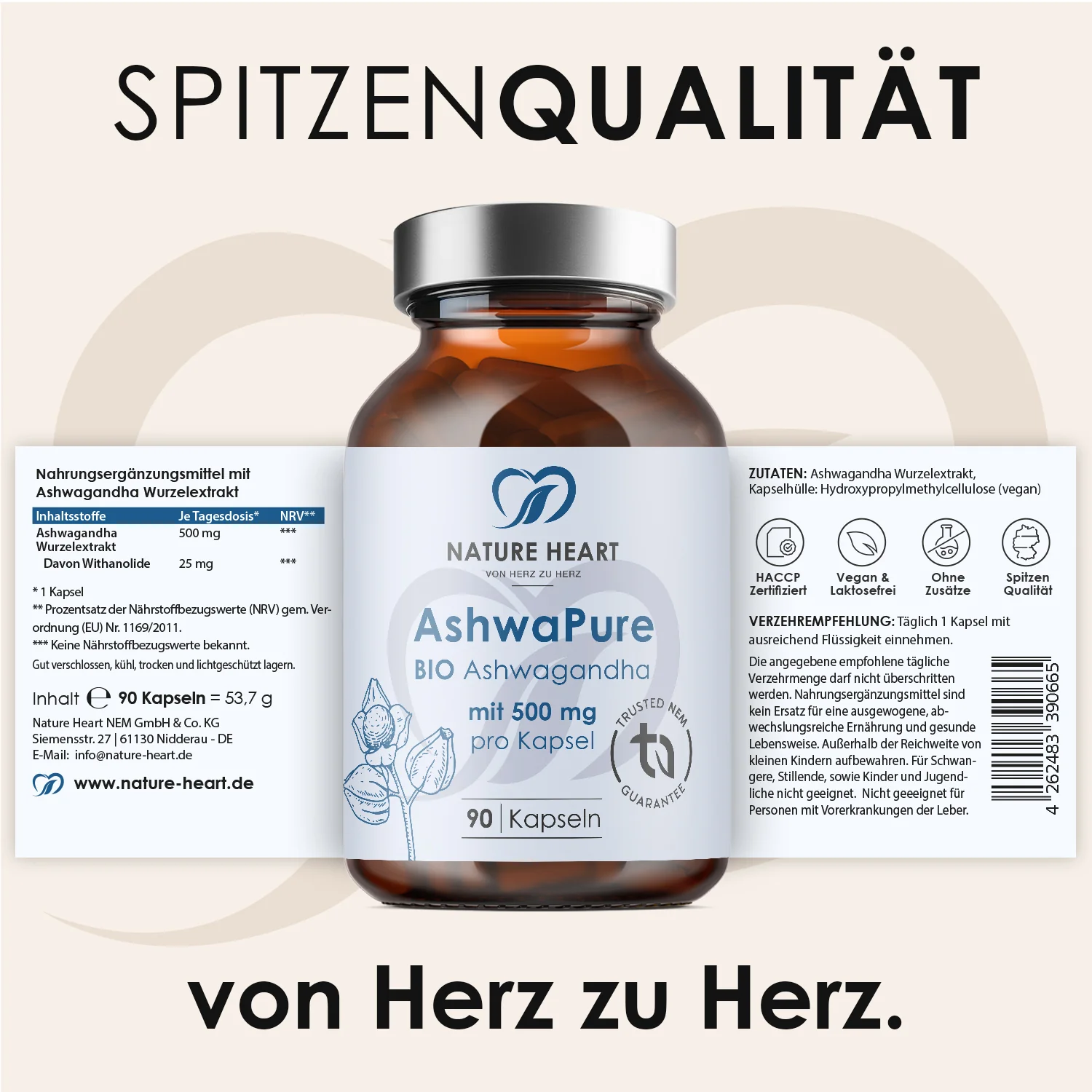 Vorschaubild 7
