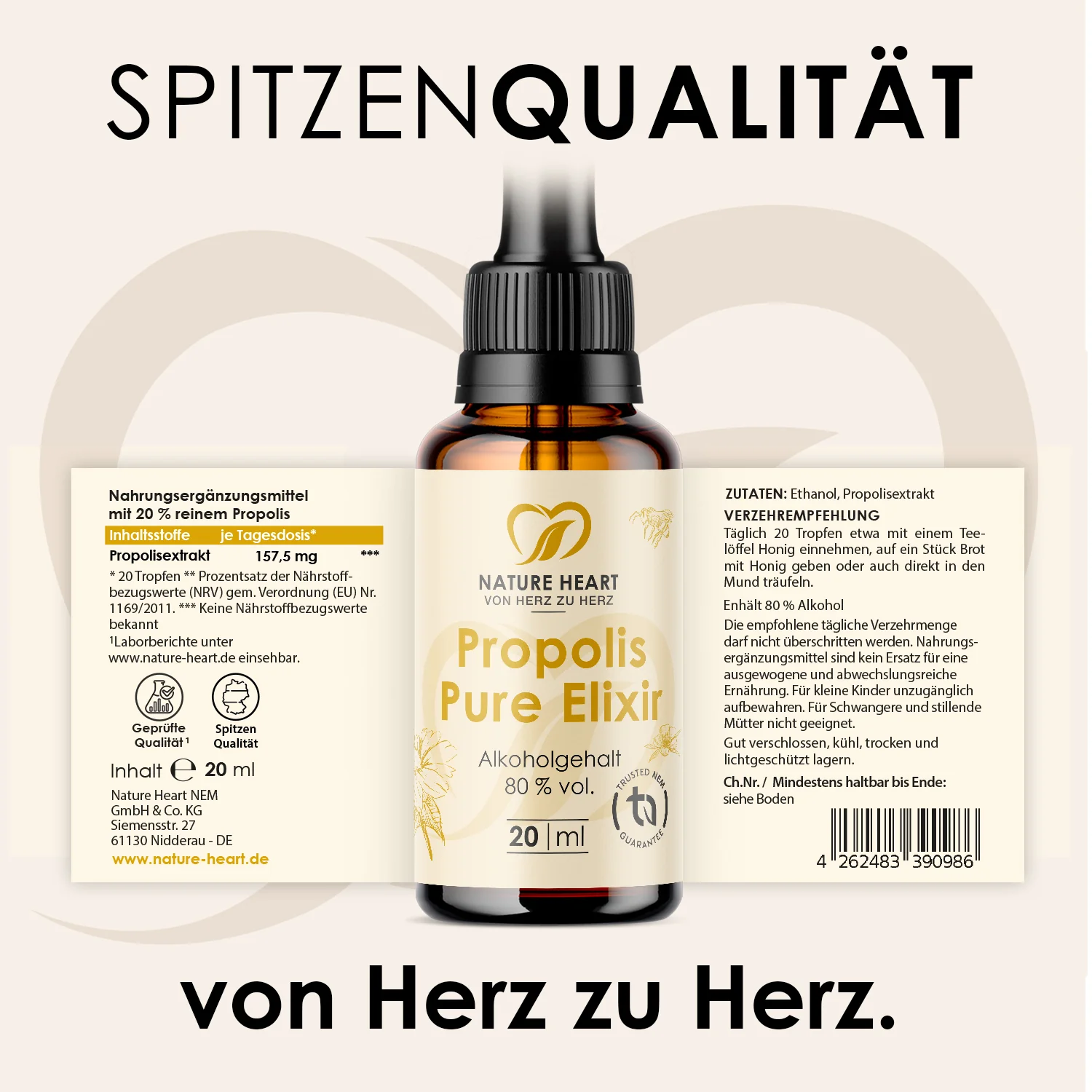 Vorschaubild 6