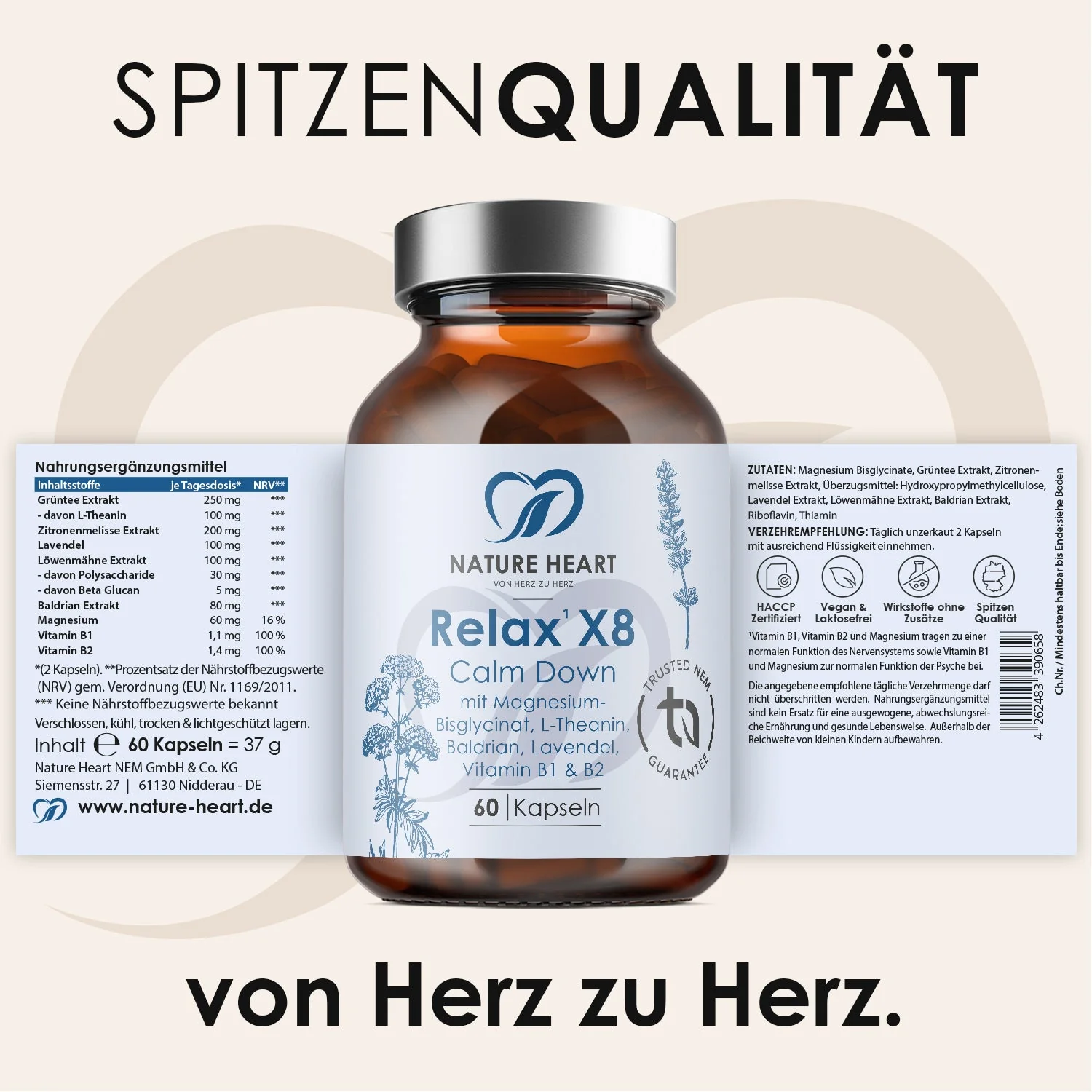 Vorschaubild 6
