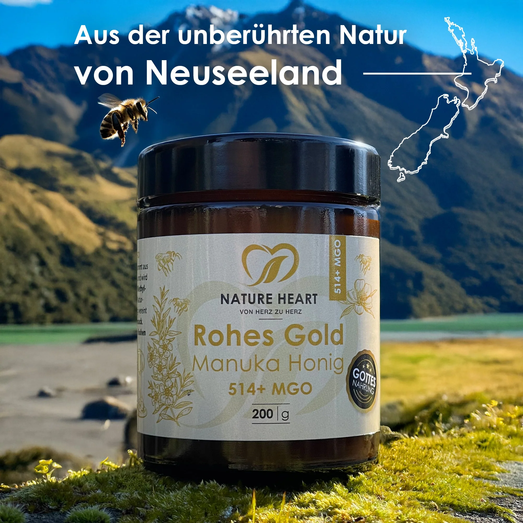 Vorschaubild 7