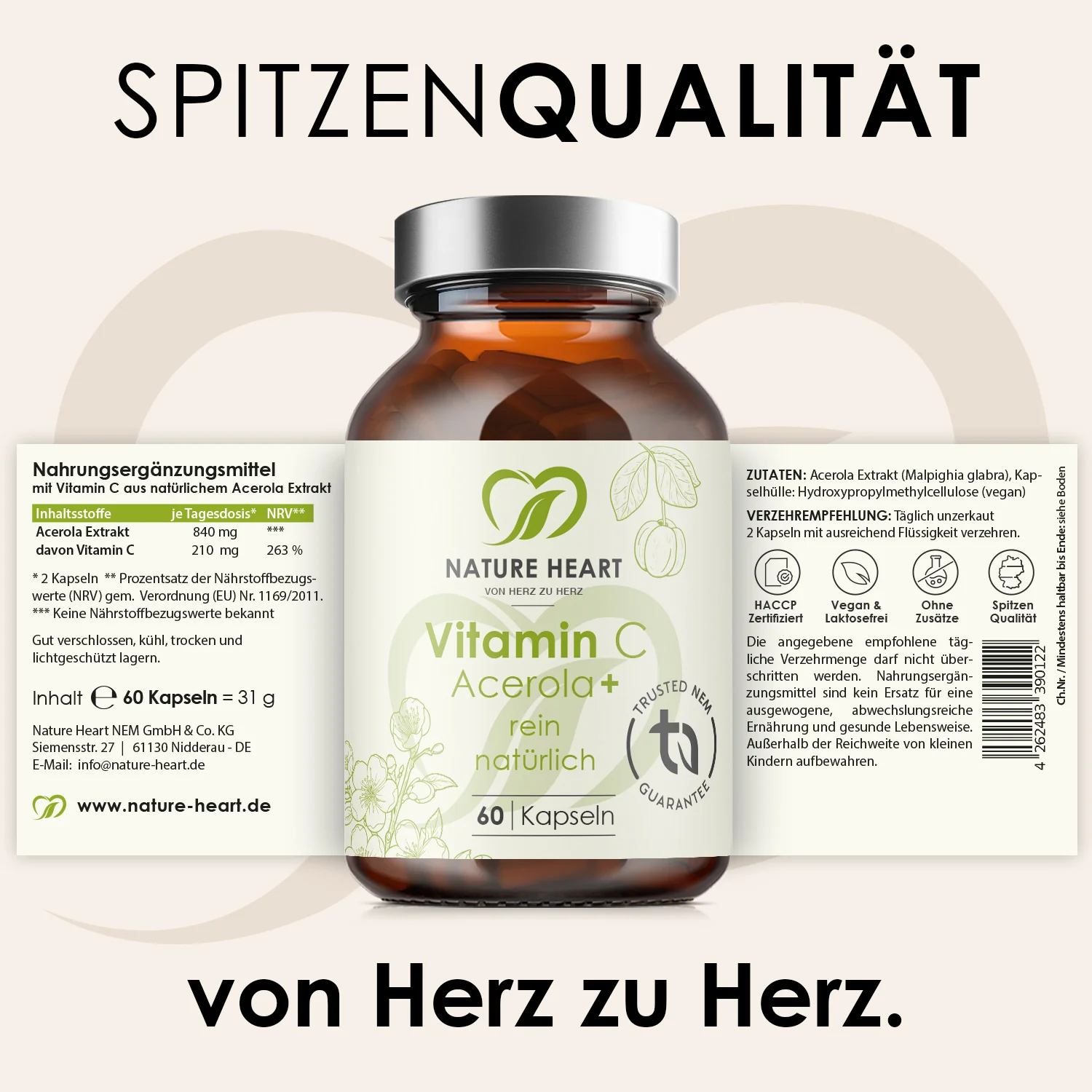 Vorschaubild 6