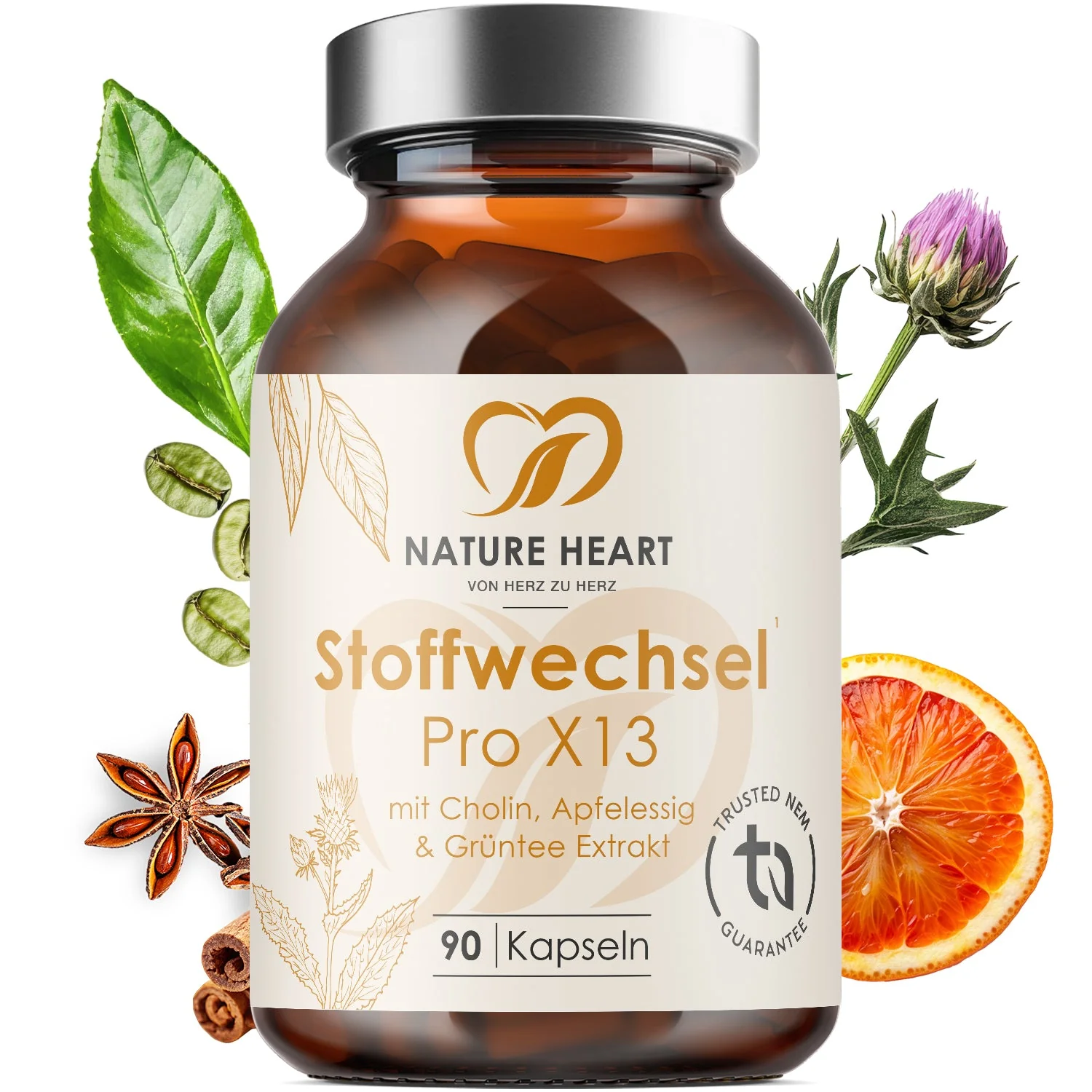 Vorschaubild 1