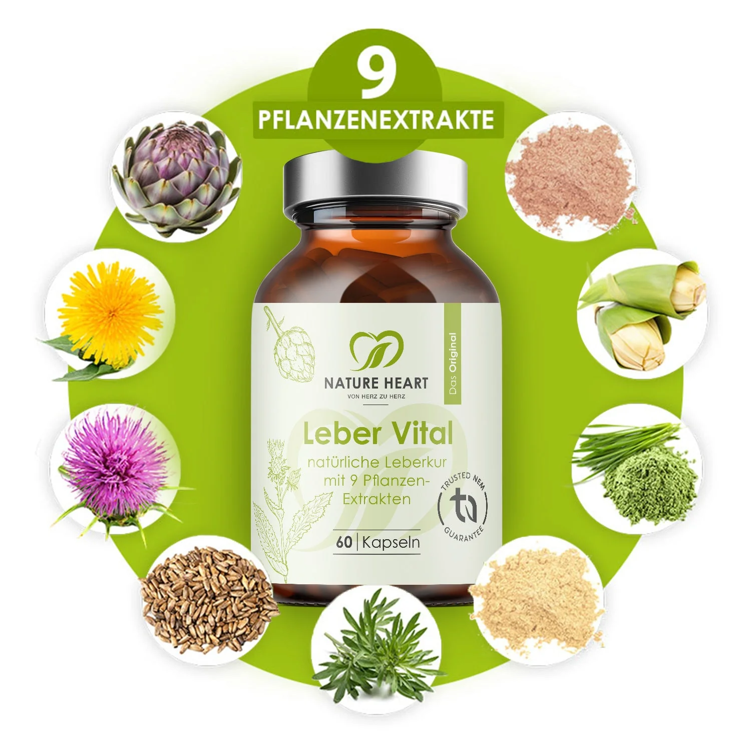 Vorschaubild 5